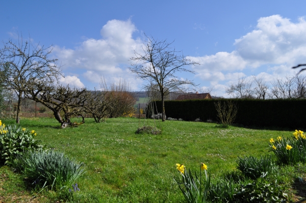 une vue du jardin au printemps